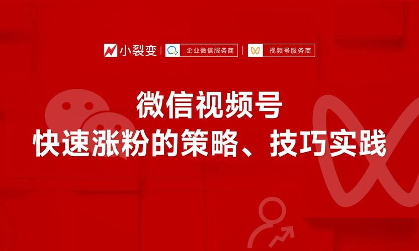 **标题:视频号刷粉新选择:一分钟揭秘高效增粉平台!**