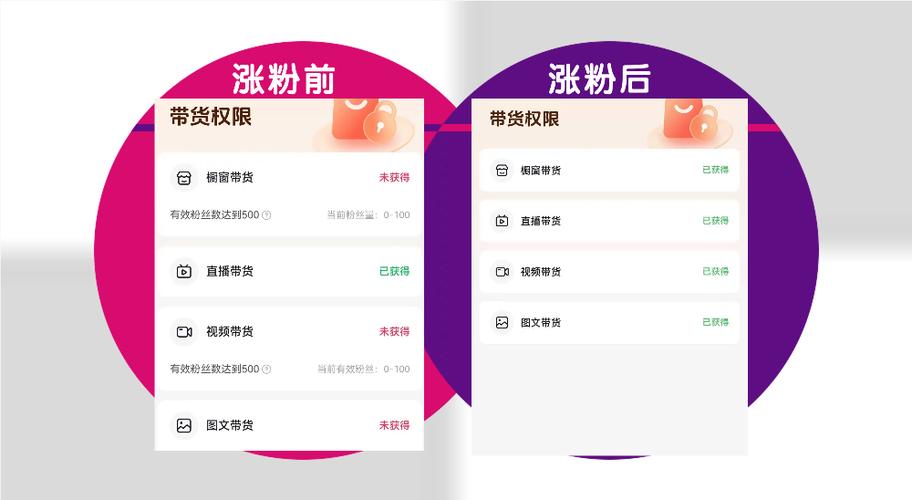 **揭秘网红背后的增长秘籍:如何高效购买抖音粉丝**