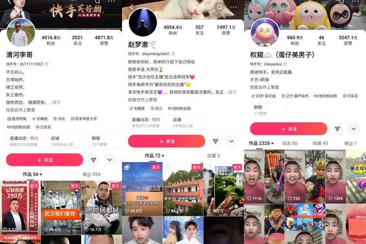独家分享:我在快手刷粉平台的成功之路