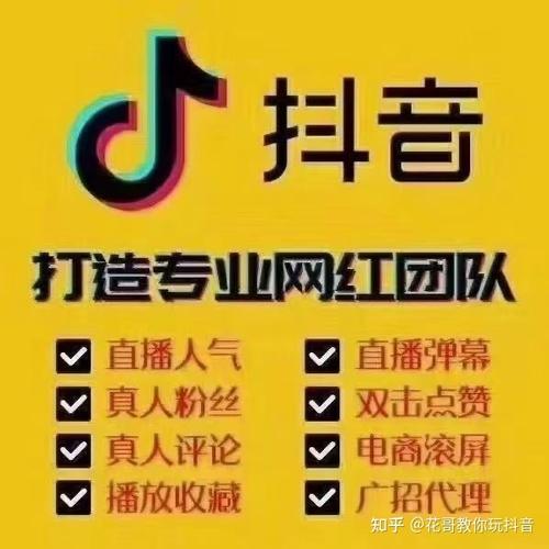 解锁抖音涨粉新高度,网站平台下单让你一飞冲天
