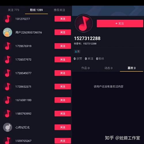 轻松拥有千名粉丝,抖音1000粉丝自助平台成就你的网红梦