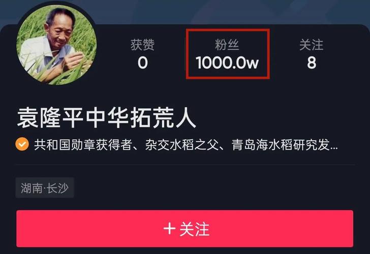 抖音1000粉丝自助平台:让你的作品被更多人看见