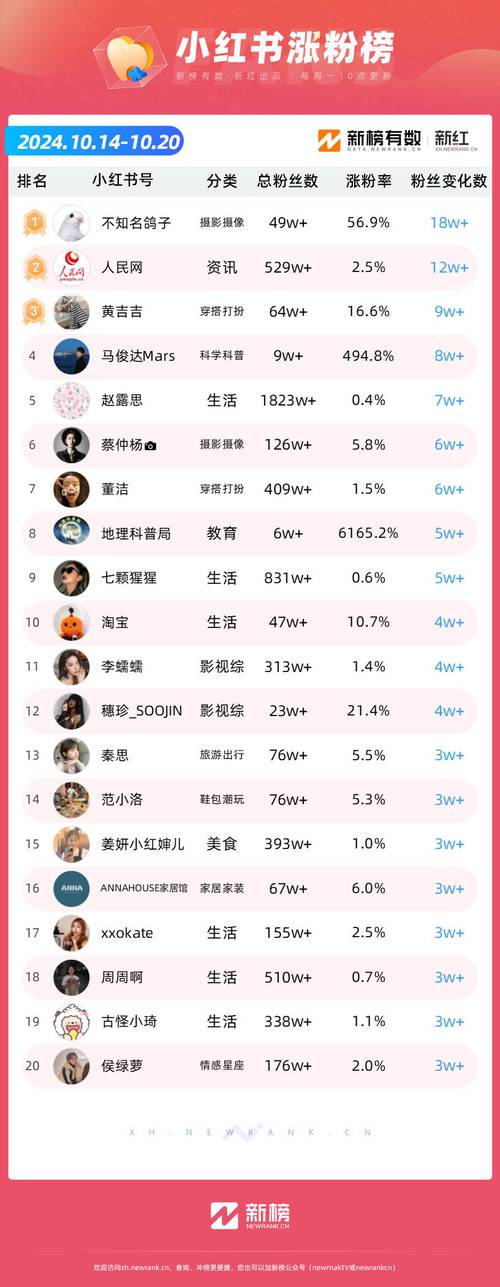 揭秘快手刷粉:如何构建可持续的粉丝增长策略?