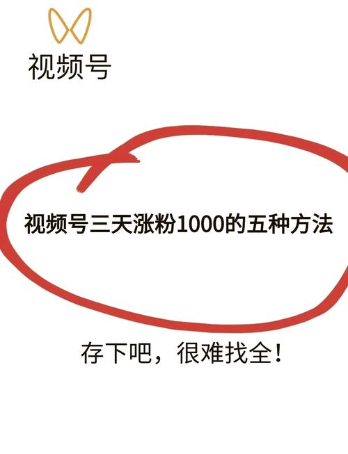 **标题:揭秘视频号涨粉新秘籍,轻松实现1000有效粉丝即时入账!**