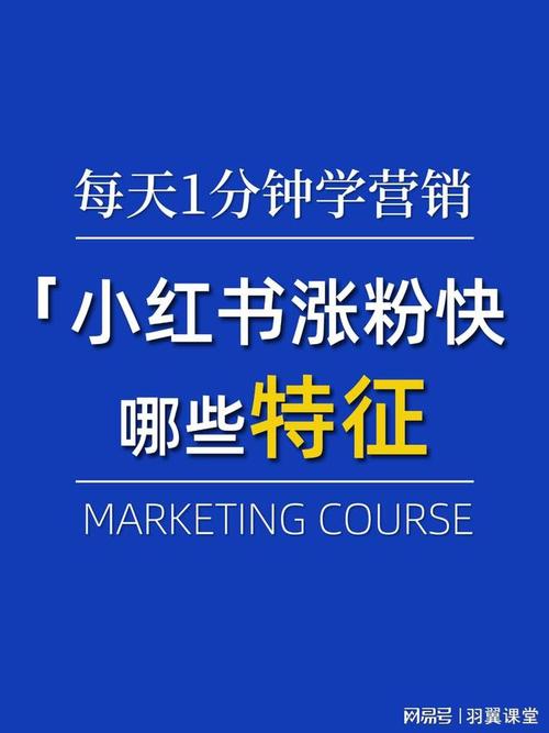 轻松实现涨粉目标,小红书粉丝自助下单必备