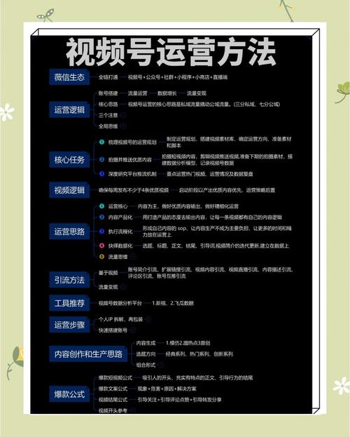 **标题:视频号运营秘籍:高效管理粉丝评论,打造和谐互动社区**
