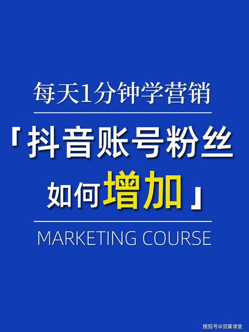 **标题:揭秘视频号从零到万粉的蜕变之路**