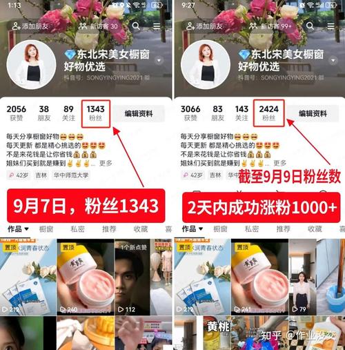 抖音粉丝自助下单平台,让你的账号脱颖而出