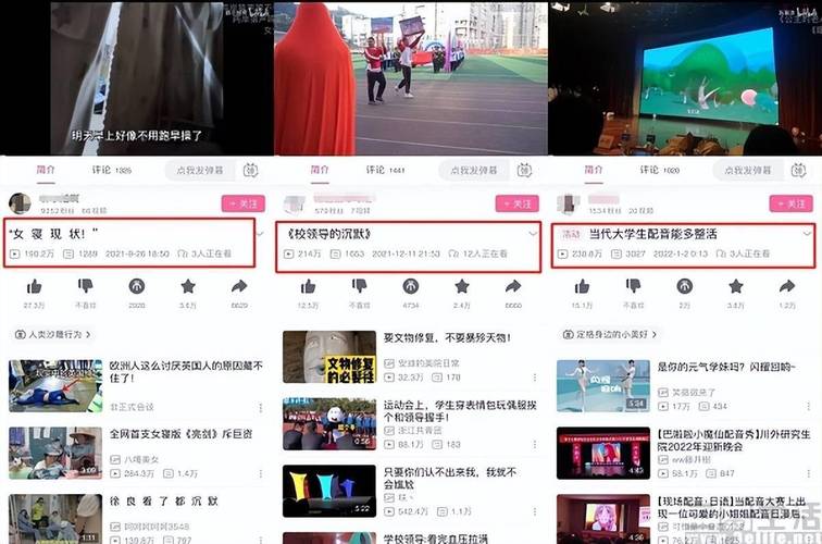 **揭秘B站视频播放量背后的推手:专业提升平台探秘!**