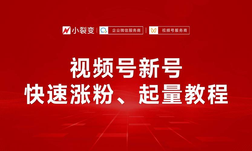 **标题：揭秘粉丝量飙升的秘诀，让你的视频号瞬间点燃人气！**