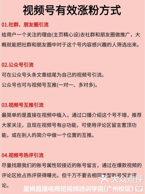 **标题：揭秘视频号刷粉新策略，轻松实现粉丝增长飞跃！**