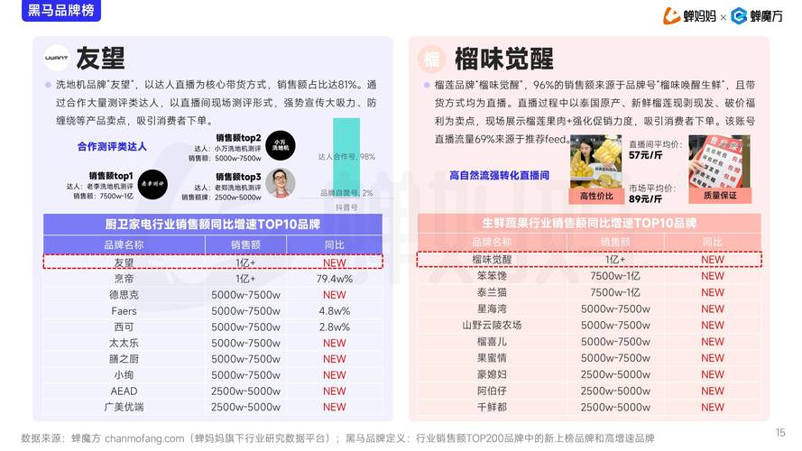 深度解析：抖音粉丝购买平台的优势与风险