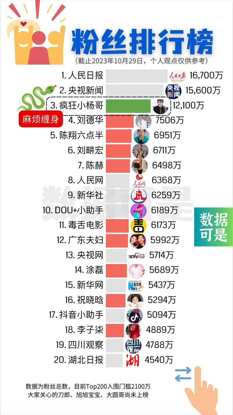 **标题：揭秘抖音粉丝增长策略：如何投入千元实现高回报？**