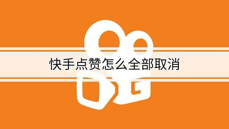 专业快手刷点赞，让你的作品快速获得认可