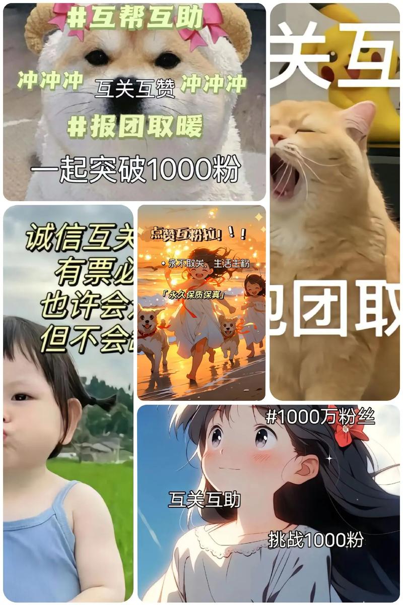揭秘:抖音1000粉丝的真正价格