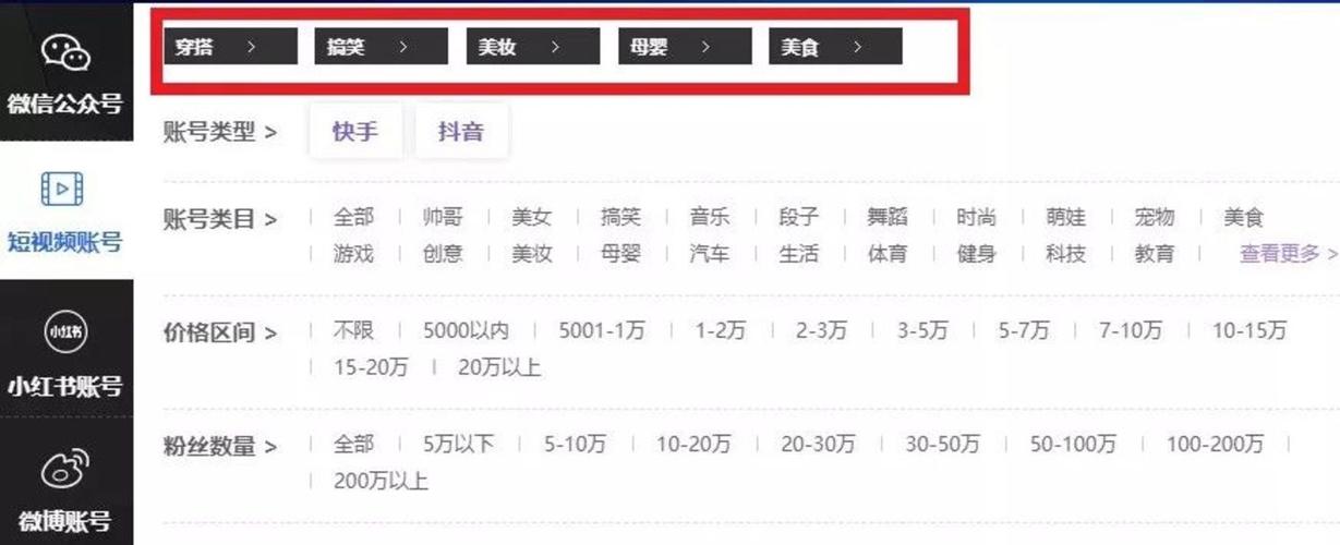抖音1000粉丝购买，让你的账号更具商业价值