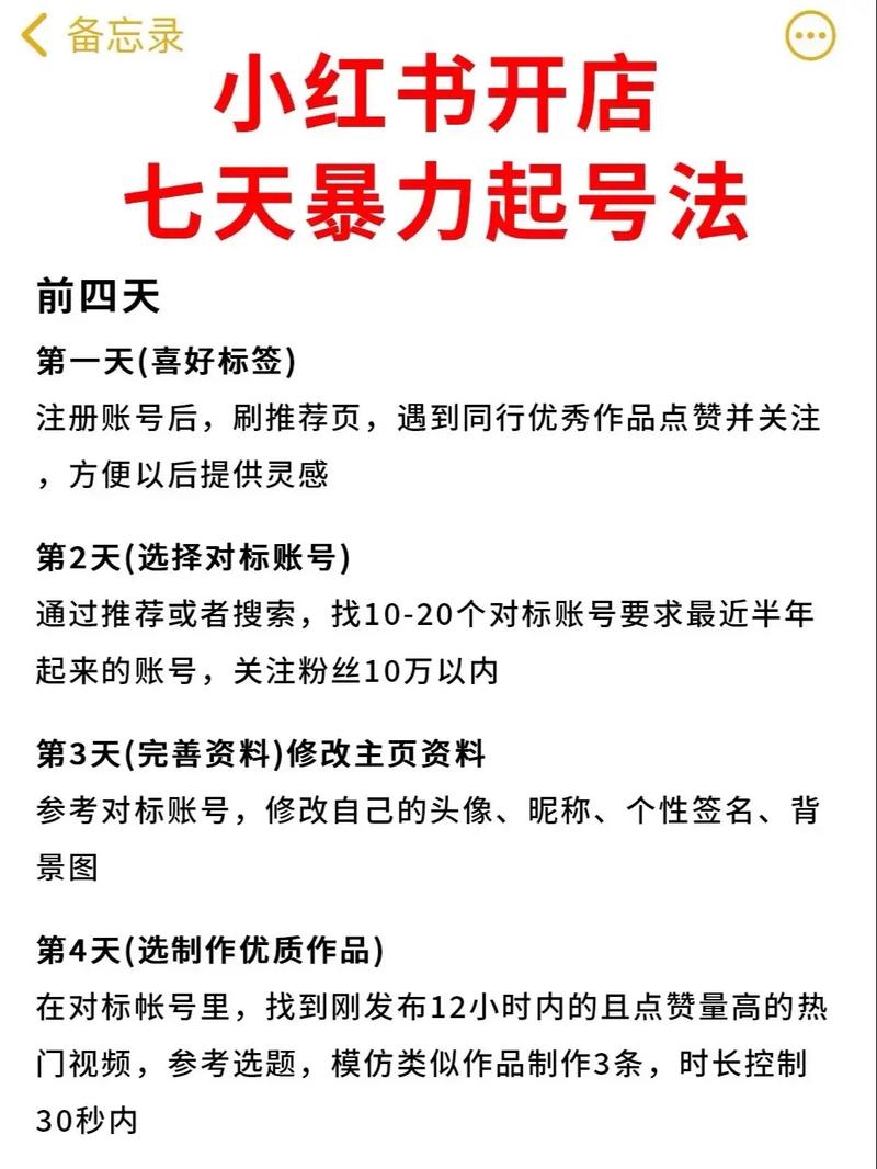 **从零到网红之巅:小红书粉丝助力实现梦想飞跃**