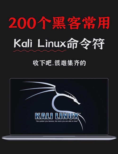 **揭秘Bilibili代刷网：背后的神秘力量与暗影操作**
