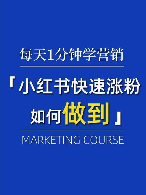 **揭秘小红书涨粉新策略：轻松实现粉丝量飙升！**