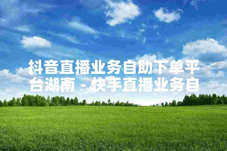 抖音热门自助下单，轻松打造短视频爆款