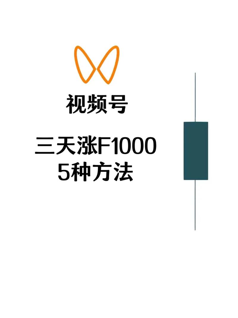 **真实用户揭秘:视频号刷粉平台,经验与教训并存!**
