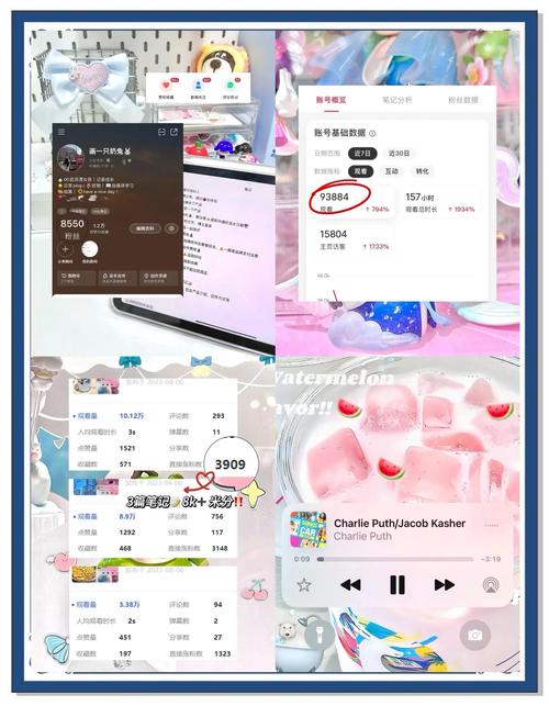 **小红书新手进阶攻略：粉丝价值与价格探秘**