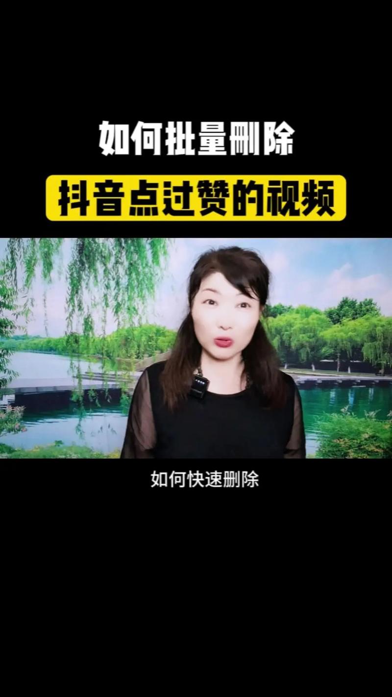 玩转抖音必备技巧：揭开刷赞官网的神秘面纱！