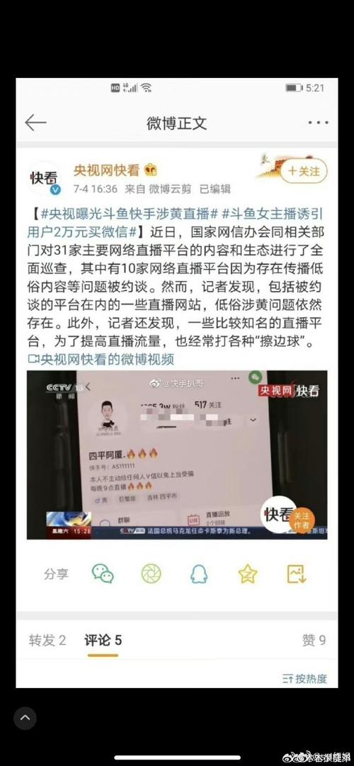 **标题：揭秘快手短视频带刷网：流量洪流的背后奥秘**