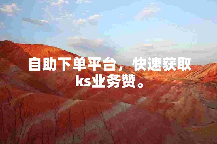 深度解析：为何这款自助下单平台价格最低？