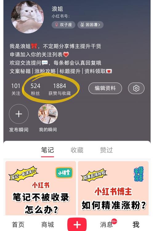 网红养成攻略:小红书粉丝自助购买平台推荐
