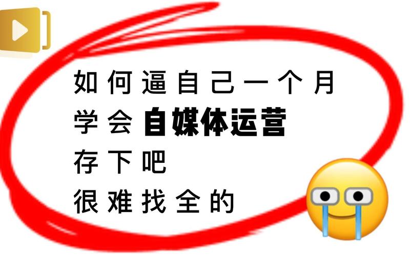 **揭秘哔哩哔哩播放量代刷：UP主如何合规提升影响力**