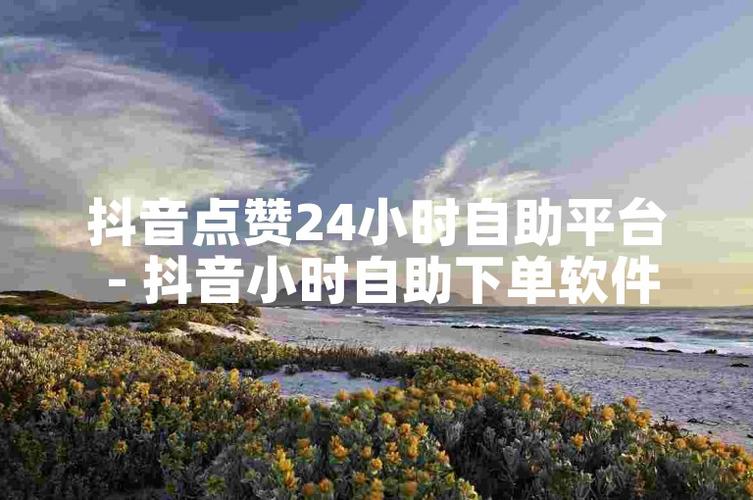 抖音粉丝自助下单，打造个人魅力新形象