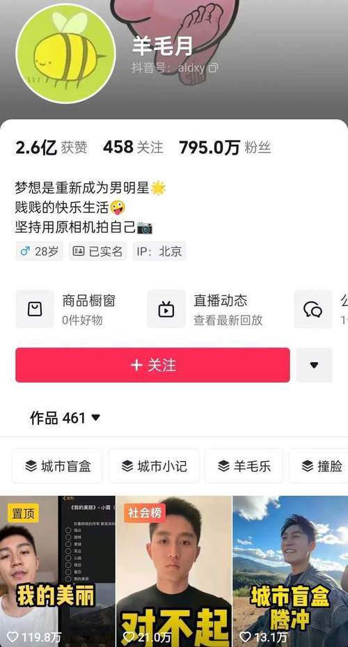 从零开始：购买抖音1000粉丝开启网红之旅