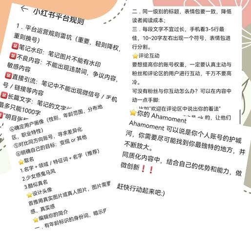 小红书买粉网站全解析：快速增粉的秘诀